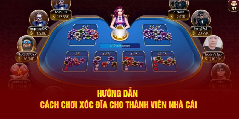 Cách chơi Xóc Đĩa chuẩn chỉnh như chuyên gia